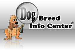 Visit Dog Breed Info Center Website