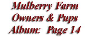  Mulberry Farm
Owners & Pups
 Album: Page 14