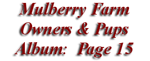  Mulberry Farm
Owners & Pups
 Album: Page 15