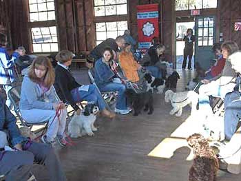 A few Mulberry Farm Cockapoos
(with their owners!) while attending
Matt Duffy's Obedience Training Seminars
~ April 1st and 2nd, 2006 ~