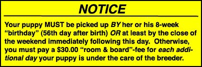Puppies MUST be picked up by Owner
by weekend following pup's 56th day post-natal...
or subject to $30.00 per diem room & board fee