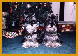 Pooh Bear & Tigger;
   Christmas 1999