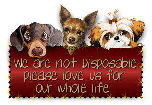 We are NOT Disposable!